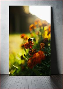 Πίνακας, Bee on Marigold Flower Μέλισσα σε άνθος κατιφέ