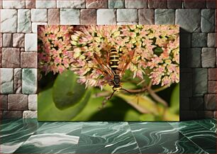 Πίνακας, Bee on Pink Flowers Μέλισσα σε ροζ λουλούδια