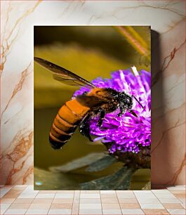 Πίνακας, Bee on Purple Flower Μέλισσα στο μωβ λουλούδι