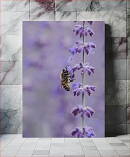 Πίνακας, Bee on Purple Flowers Μέλισσα σε μωβ λουλούδια