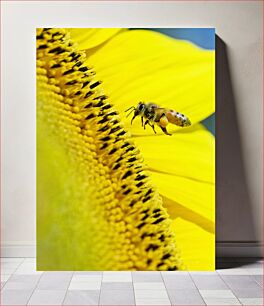 Πίνακας, Bee on Sunflower Μέλισσα στον Ηλίανθο