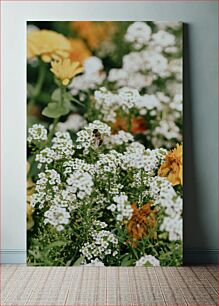 Πίνακας, Bee on White Flowers Μέλισσα σε λευκά λουλούδια