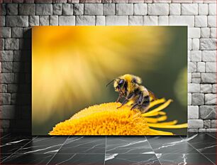 Πίνακας, Bee on Yellow Flower Μέλισσα στο κίτρινο λουλούδι