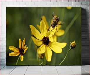 Πίνακας, Bee on Yellow Flower Μέλισσα σε κίτρινο λουλούδι