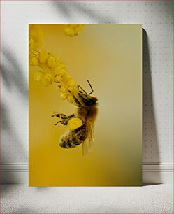 Πίνακας, Bee on Yellow Flower Μέλισσα σε κίτρινο λουλούδι