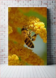 Πίνακας, Bee on Yellow Flower Μέλισσα σε κίτρινο λουλούδι