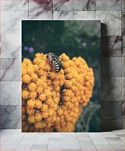Πίνακας, Bee on Yellow Flowers Μέλισσα σε κίτρινα λουλούδια