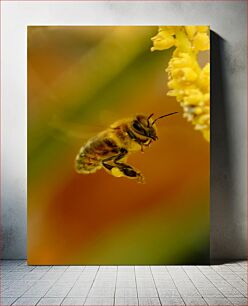 Πίνακας, Bee Pollinating a Flower Μέλισσα που επικονιάζει ένα λουλούδι
