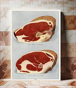 Πίνακας, Beef Sirloins from the book, The Grocer’s Encyclopedia (1911)