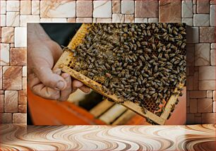 Πίνακας, Beekeeping Μελισσοκομία