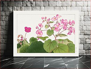 Πίνακας, Begonia flower, Japanese woodblock art