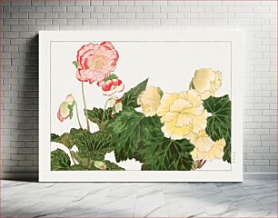 Πίνακας, Begonia flower woodblock painting