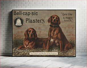Πίνακας, Bell-cap-sic Plasters, "Cure like a magic touch." The father and mother of the puppies