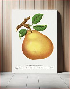 Πίνακας, Beurre D'Anjou pear lithograph from Botanical Specimen published by Rochester Lithographing and Printing Company