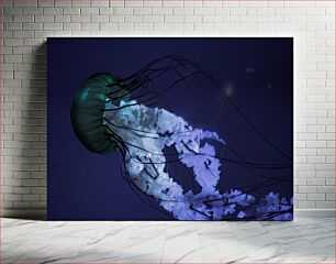 Πίνακας, Bioluminescent Jellyfish in the Deep Sea Βιοφωταύγεια μέδουσα στη βαθιά θάλασσα