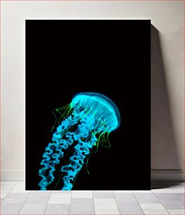 Πίνακας, Bioluminescent Jellyfish Βιοφωταύγεια Μέδουσα