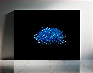 Πίνακας, Bioluminescent Jellyfish Βιοφωταύγεια Μέδουσα
