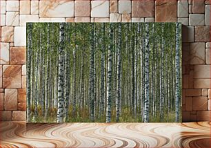 Πίνακας, Birch Tree Forest Δάσος Σημύδων