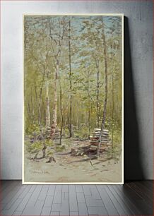 Πίνακας, Birch Trees, Francis Hopkinson Smith