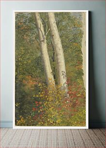 Πίνακας, Birch Trees in Autumn, Frederic Edwin Church