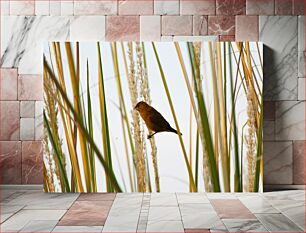 Πίνακας, Bird Among Tall Grass Πουλί ανάμεσα σε ψηλό γρασίδι