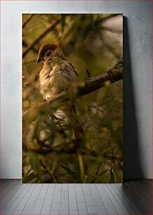 Πίνακας, Bird Among the Branches Πουλί Ανάμεσα στα Κλαδιά