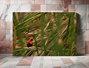 Πίνακας, Bird Among the Reeds Πουλί ανάμεσα στα καλάμια