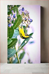 Πίνακας, Bird and Purple Flowers Πουλί και Μωβ λουλούδια