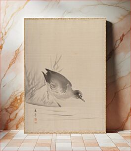 Πίνακας, Bird at the Water's Edge by Kawabata Gyokushō