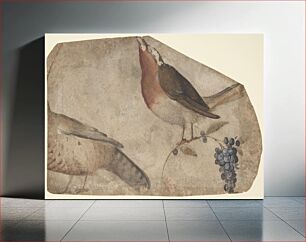 Πίνακας, Bird Eating Grapes (recto); Tigress (verso) by Giovanni da Udine (Giovanni dei Ricamatori)