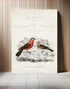 Πίνακας, Bird illustration. A History of the Earth and Animated Nature (1820) by Oliver Goldsmith (1730-1774)
