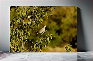 Πίνακας, Bird in a Tree Πουλί σε ένα δέντρο