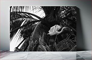 Πίνακας, Bird in Black and White Jungle Πουλί στη ασπρόμαυρη ζούγκλα