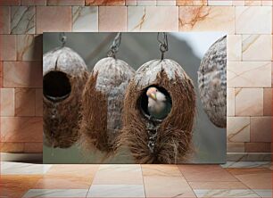 Πίνακας, Bird in Coconut Nest Πουλί στη Φωλιά Καρύδας