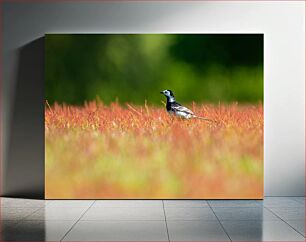 Πίνακας, Bird in Colorful Field Πουλί στο πολύχρωμο πεδίο