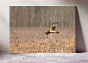 Πίνακας, Bird in Flight Πουλί σε πτήση