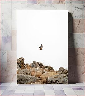 Πίνακας, Bird in Flight Over Rocky Terrain Πουλί σε πτήση πάνω από βραχώδες έδαφος
