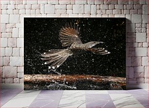 Πίνακας, Bird in Flight Over Water Πουλί σε πτήση πάνω από το νερό