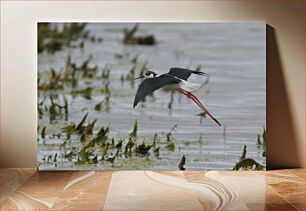 Πίνακας, Bird in Flight Over Wetland Πουλί σε πτήση πάνω από τον υγρότοπο