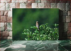 Πίνακας, Bird in Green Foilage Πουλί σε πράσινο φύλλωμα