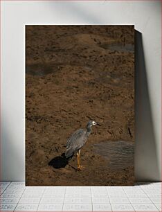 Πίνακας, Bird in Muddy Landscape Πουλί σε λασπώδες τοπίο