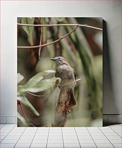 Πίνακας, Bird in Nature Πουλί στη Φύση