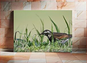 Πίνακας, Bird in the Grass Πουλί στο γρασίδι