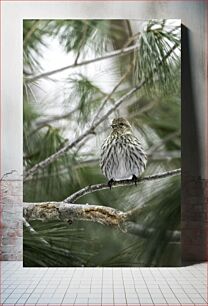 Πίνακας, Bird in the Pines Πουλί στα Πεύκα