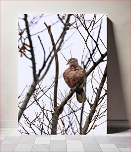 Πίνακας, Bird in Winter Tree Πουλί στο χειμερινό δέντρο
