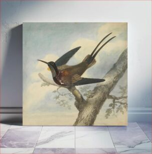 Πίνακας, Bird of Paradise and Verso: Sketch of a Flower