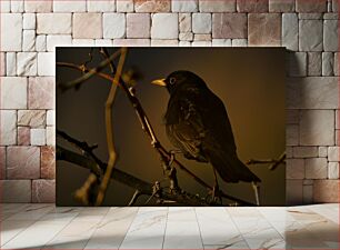 Πίνακας, Bird on a Branch at Sunset Πουλί σε ένα κλαδί στο ηλιοβασίλεμα