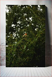 Πίνακας, Bird on a Branch in Forest Πουλί σε ένα κλαδί στο δάσος