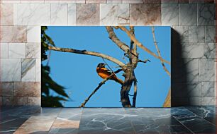 Πίνακας, Bird on a Branch Πουλί σε ένα κλαδί