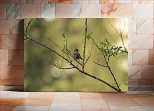 Πίνακας, Bird on a Branch Πουλί σε ένα κλαδί